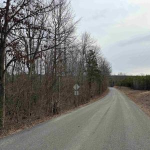 Photo #11 of TBD COMMUNITY HOUSE RD, KENTS STORE, VA 35.0 acres