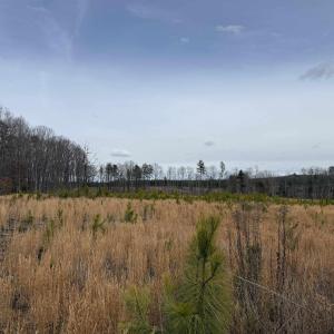 Photo #3 of TBD COMMUNITY HOUSE RD, KENTS STORE, VA 35.0 acres