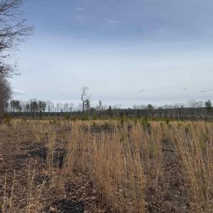Photo #32 of TBD COMMUNITY HOUSE RD, KENTS STORE, VA 35.0 acres