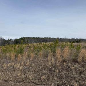 Photo #22 of TBD COMMUNITY HOUSE RD, KENTS STORE, VA 35.0 acres