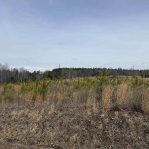 Photo #24 of TBD COMMUNITY HOUSE RD, KENTS STORE, VA 35.0 acres