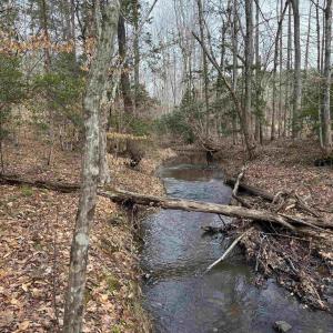 Photo #19 of TBD COMMUNITY HOUSE RD, KENTS STORE, VA 35.0 acres