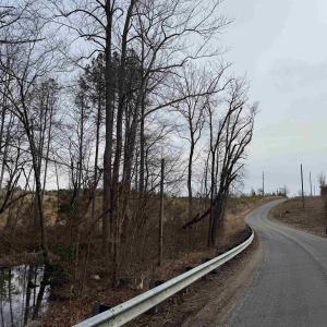 Photo #13 of TBD COMMUNITY HOUSE RD, KENTS STORE, VA 35.0 acres