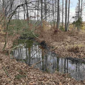 Photo #15 of TBD COMMUNITY HOUSE RD, KENTS STORE, VA 35.0 acres