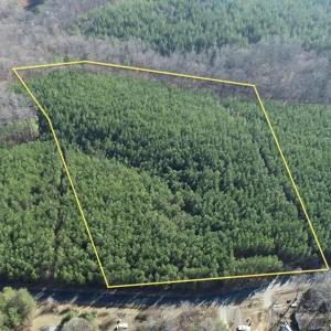 Photo #1 of C2 HARDWARE RD, ARVONIA, VA 11.5 acres