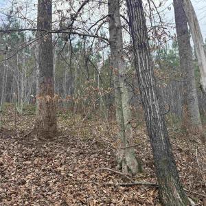 Photo #13 of C2 HARDWARE RD, ARVONIA, VA 11.5 acres
