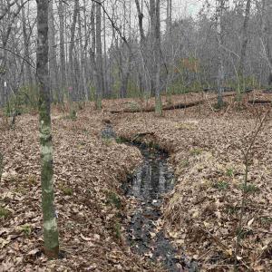 Photo #6 of C2 HARDWARE RD, ARVONIA, VA 11.5 acres