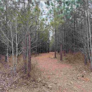 Photo #4 of C2 HARDWARE RD, ARVONIA, VA 11.5 acres