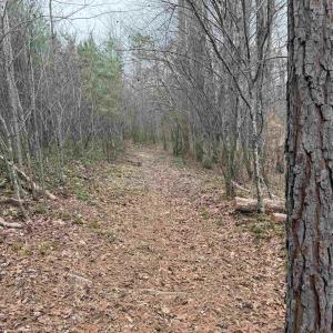Photo #8 of C2 HARDWARE RD, ARVONIA, VA 11.5 acres
