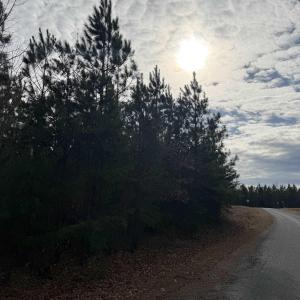 Photo #11 of TBD 1 HARDWARE RD, ARVONIA, VA 6.5 acres