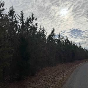 Photo #9 of TBD 1 HARDWARE RD, ARVONIA, VA 6.5 acres