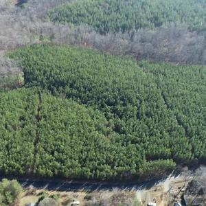 Photo #3 of TBD 1 HARDWARE RD, ARVONIA, VA 6.5 acres