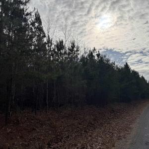 Photo #10 of TBD 1 HARDWARE RD, ARVONIA, VA 6.5 acres