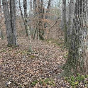Photo #6 of TBD 1 HARDWARE RD, ARVONIA, VA 6.5 acres
