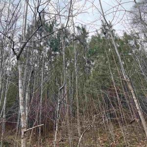 Photo #13 of TBD 2 HARDWARE RD, ARVONIA, VA 4.0 acres