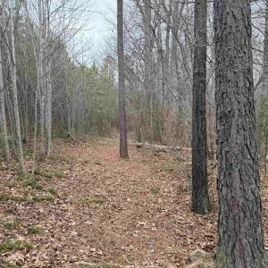 Photo #10 of TBD 2 HARDWARE RD, ARVONIA, VA 4.0 acres