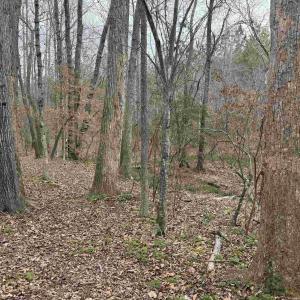 Photo #12 of TBD 2 HARDWARE RD, ARVONIA, VA 4.0 acres