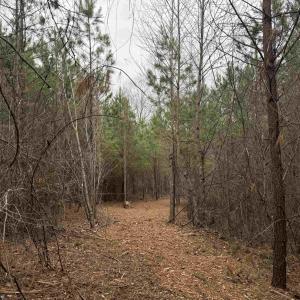 Photo #8 of TBD 2 HARDWARE RD, ARVONIA, VA 4.0 acres