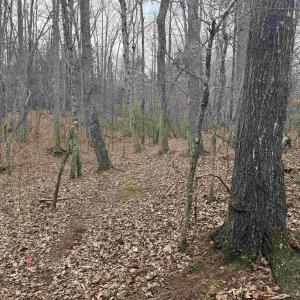 Photo #14 of TBD 2 HARDWARE RD, ARVONIA, VA 4.0 acres