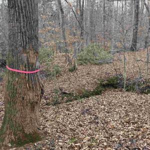 Photo #16 of TBD 2 HARDWARE RD, ARVONIA, VA 4.0 acres