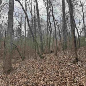Photo #15 of TBD 2 HARDWARE RD, ARVONIA, VA 4.0 acres