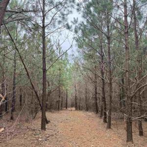 Photo #7 of TBD 2 HARDWARE RD, ARVONIA, VA 4.0 acres