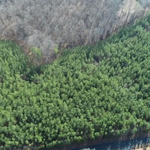 Photo #4 of TBD 2 HARDWARE RD, ARVONIA, VA 4.0 acres