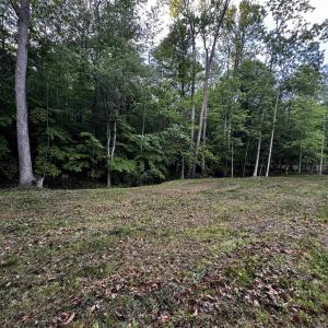 Photo #5 of FREDERICKSBURG RD, RUCKERSVILLE, VA 19.0 acres