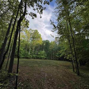 Photo #1 of FREDERICKSBURG RD, RUCKERSVILLE, VA 19.0 acres