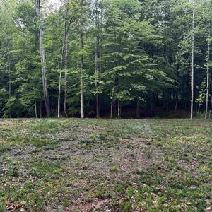 Photo #6 of FREDERICKSBURG RD, RUCKERSVILLE, VA 19.0 acres