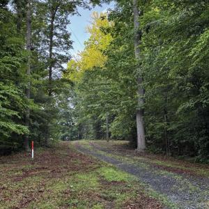 Photo #4 of FREDERICKSBURG RD, RUCKERSVILLE, VA 19.0 acres