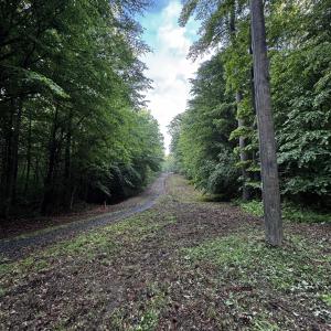 Photo #3 of FREDERICKSBURG RD, RUCKERSVILLE, VA 19.0 acres