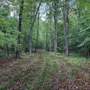 Photo #7 of FREDERICKSBURG RD, RUCKERSVILLE, VA 19.0 acres