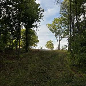 Photo #9 of FREDERICKSBURG RD, RUCKERSVILLE, VA 19.0 acres