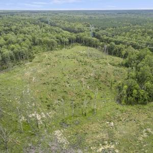 Photo #5 of CARYSBROOK RD, PALMYRA, VA 45.0 acres