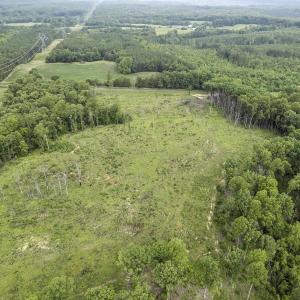 Photo #17 of CARYSBROOK RD, PALMYRA, VA 45.0 acres