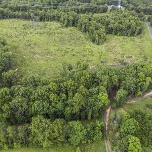 Photo #14 of CARYSBROOK RD, PALMYRA, VA 45.0 acres