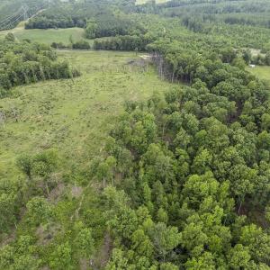 Photo #18 of CARYSBROOK RD, PALMYRA, VA 45.0 acres