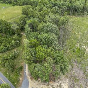 Photo #6 of CARYSBROOK RD, PALMYRA, VA 45.0 acres