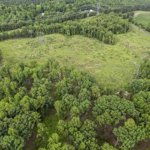 Photo #15 of CARYSBROOK RD, PALMYRA, VA 45.0 acres