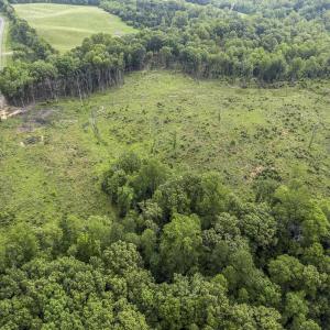 Photo #7 of CARYSBROOK RD, PALMYRA, VA 45.0 acres