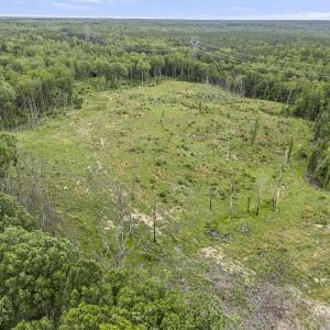 Photo #2 of CARYSBROOK RD, PALMYRA, VA 45.0 acres