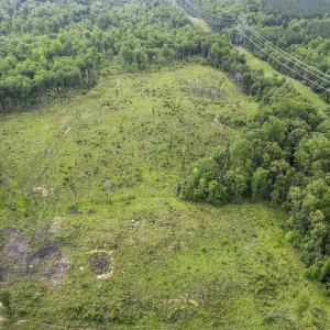 Photo #9 of CARYSBROOK RD, PALMYRA, VA 45.0 acres