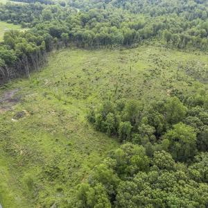 Photo #8 of CARYSBROOK RD, PALMYRA, VA 45.0 acres