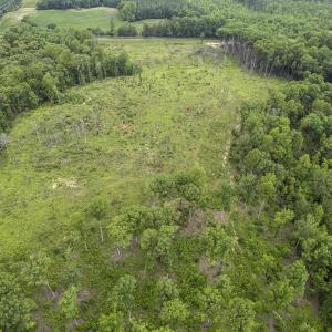 Photo #19 of CARYSBROOK RD, PALMYRA, VA 45.0 acres