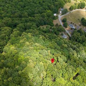 Photo #10 of TBD SPRUCE CREEK LN, NELLYSFORD, VA 3.9 acres