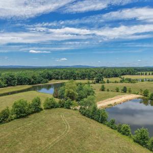 Photo #26 of 25.38 ACRES BRIERY CREEK RD, SCOTTSVILLE, VA 25.4 acres