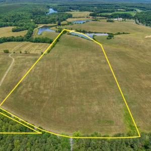Photo #1 of 25.38 ACRES BRIERY CREEK RD, SCOTTSVILLE, VA 25.4 acres