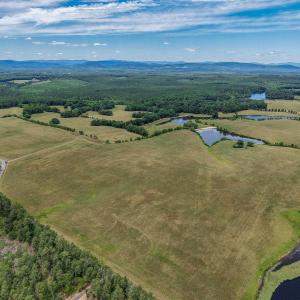 Photo #8 of 25.38 ACRES BRIERY CREEK RD, SCOTTSVILLE, VA 25.4 acres