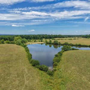 Photo #25 of 25.38 ACRES BRIERY CREEK RD, SCOTTSVILLE, VA 25.4 acres